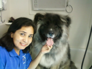 7832-0107111124b-1920w-convertwebptopng.com