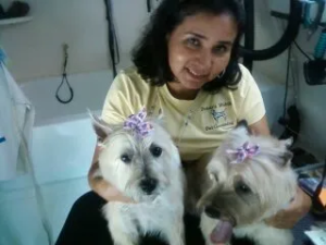 7834-1306587150487-1920w-convertwebptopng.com