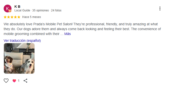 Captura de pantalla 2025-11-13 204641