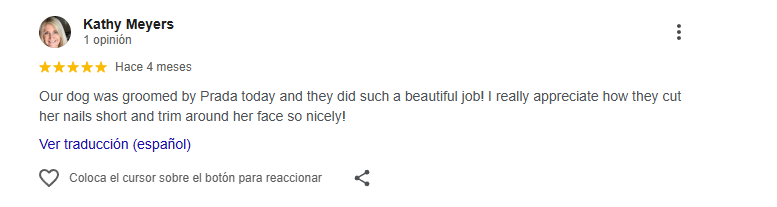 Captura de pantalla 2025-11-13 204810