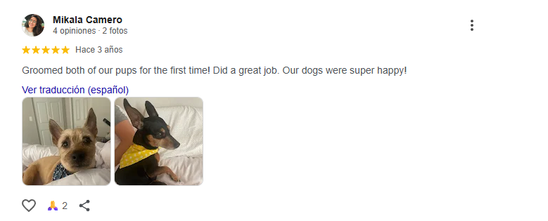 Captura de pantalla 2025-11-13 204940